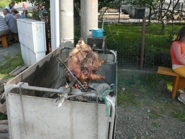 p1000884.jpg
