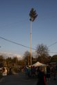 _MG_0420