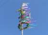 p5010123_small.jpg