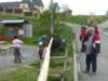 p1000268_small.jpg