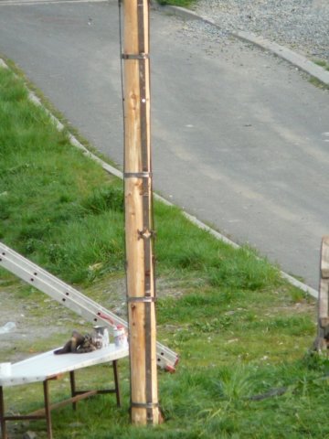 p1000314.jpg