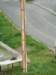 p1000314_small.jpg